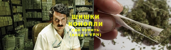 PSILOCYBIN Алексеевка