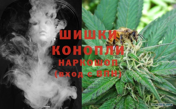 PSILOCYBIN Алексеевка