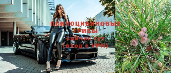 PSILOCYBIN Алексеевка