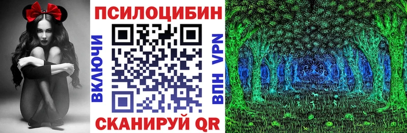 цена   Пыталово  MEGA tor  Псилоцибиновые грибы ЛСД 