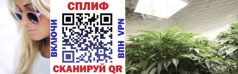Канабис планчик Пыталово